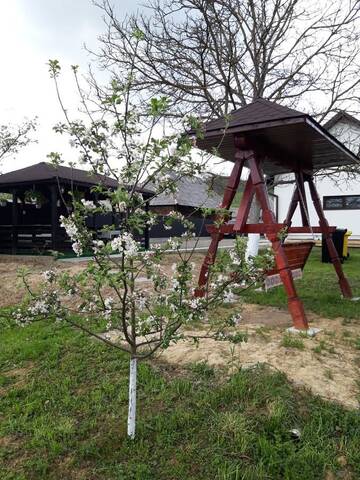 Фото Загородные дома Casa Bianca Oncesti г. Onceşti 5