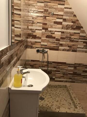 Фото номера Трехместный номер с собственной ванной комнатой Лоджи Pensiunea Rustic Oncesti г. Onceşti 7